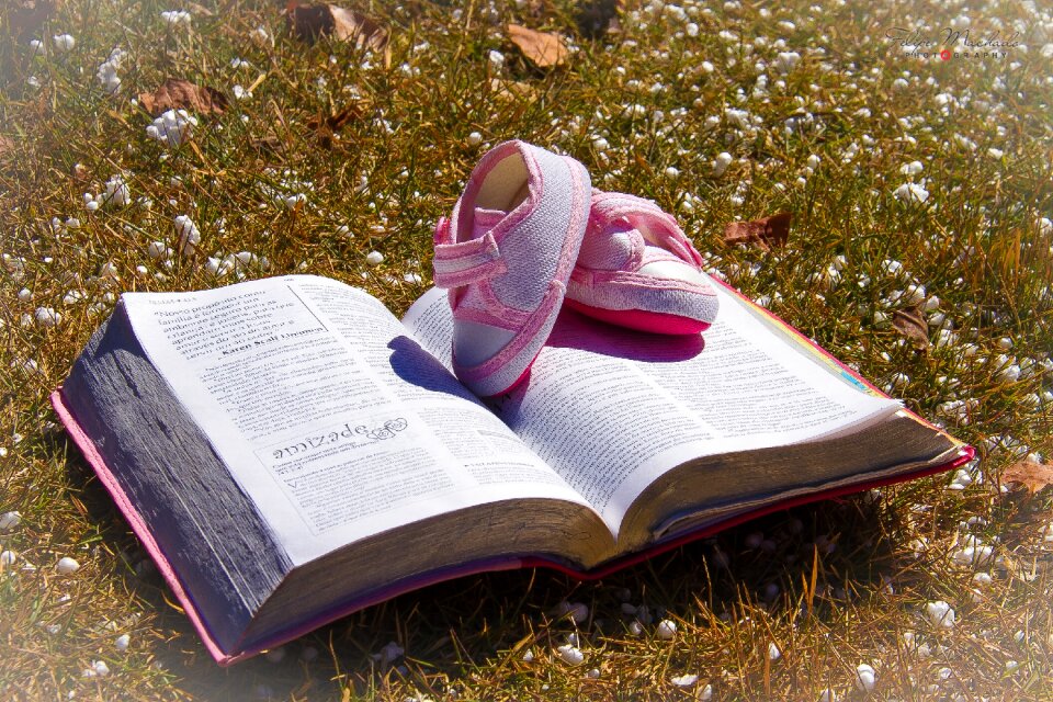 Bible religion book