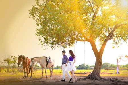 Natural field vietnam photo