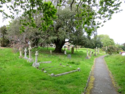 St John the Baptist's Church, Church Street, Niton (May 2016) (Churchyard) (2)