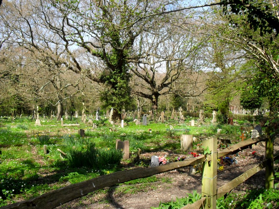 St Leonard's Church (Church-in-the-Wood), Church in the Wood Lane, Hollington, Hastings (April 2010) (Churchyard) (3)