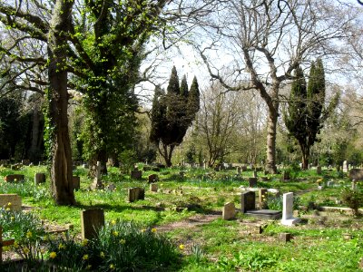 St Leonard's Church (Church-in-the-Wood), Church in the Wood Lane, Hollington, Hastings (April 2010) (Churchyard) (2)
