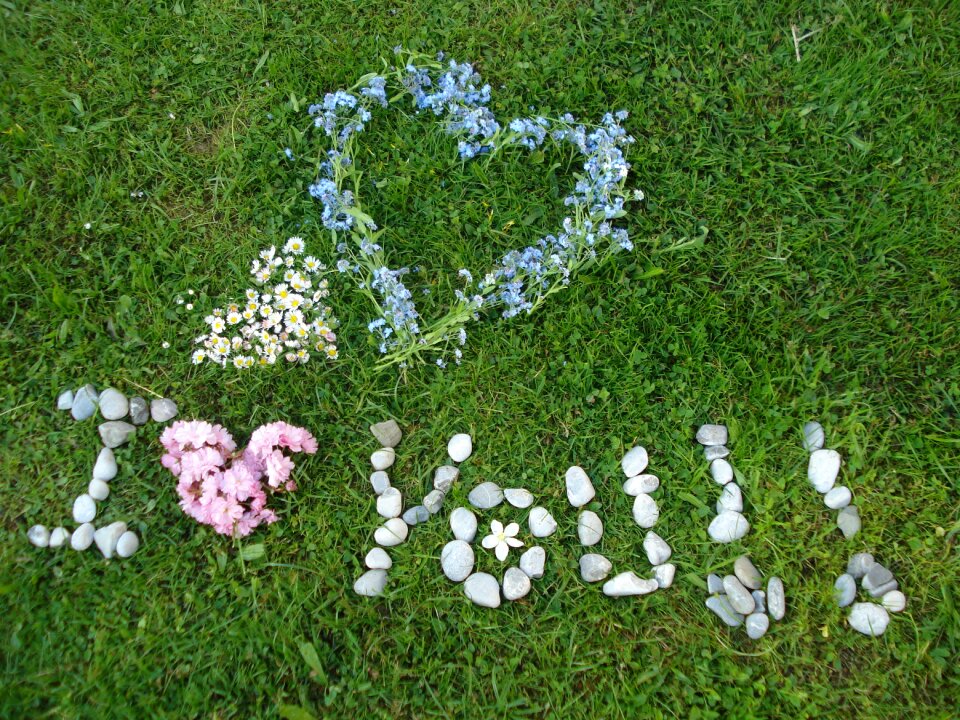 Valentine's day meadow sweet