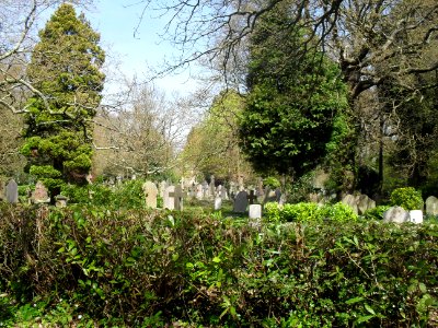 St Leonard's Church (Church-in-the-Wood), Church in the Wood Lane, Hollington, Hastings (April 2010) (Churchyard) (4)