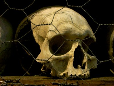St Leonard, Hythe, the ossuary 2