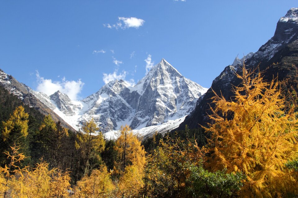 The scenery bi peng gou snow mountain