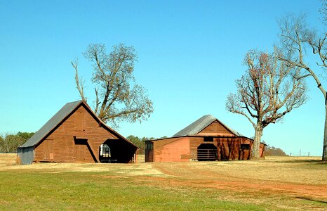 Agriculture countryside rural photo