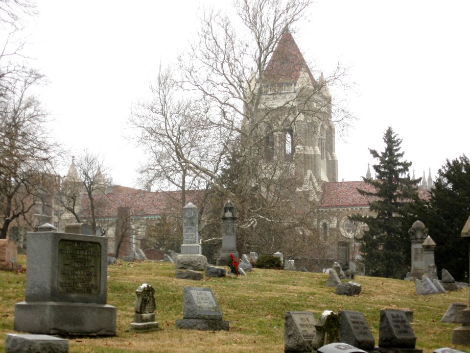 St Bernard from Mount Lebanon Cemetery, 2020-01-28