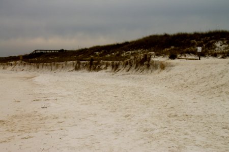 St Andrews State Park Dune