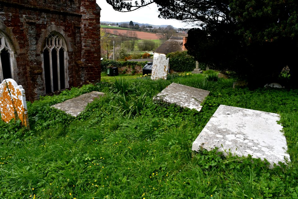 St Andrew, Kenn 2021-04-03 IMG 16