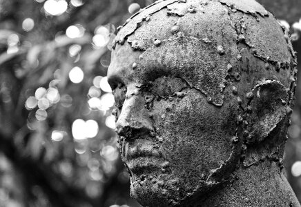 Human replica head replica