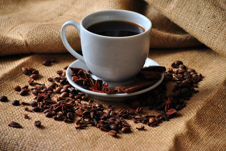 Cup of coffee coffee beans Free photos photo