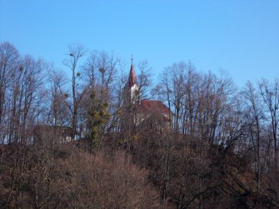 St. Ulrich's Church (Brezje pri Bojsnem) 15