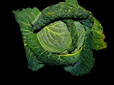 Stew vegetables green leaves