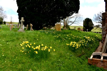 St Andrew, Kenn 2021-04-03 IMG 12