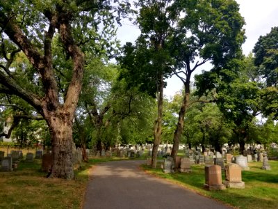 St. Paul Cemetery - Arlington, MA - 20200922 101603