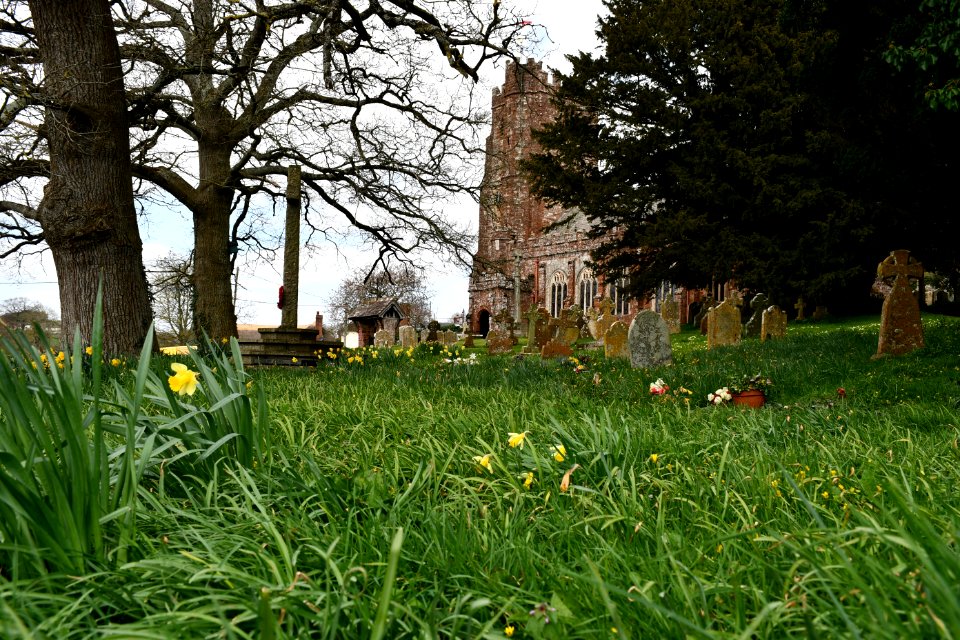 St Andrew, Kenn 2021-04-03 IMG 01