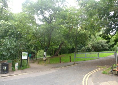 St Ann's Well Gardens, Hove (July 2014) (2)