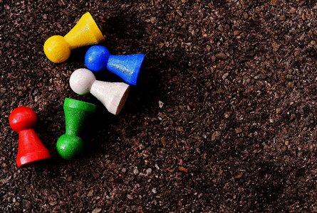 Color wood play
