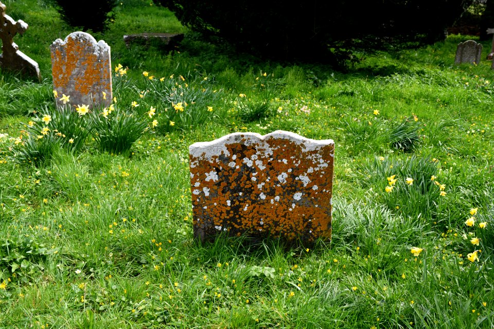 St Andrew, Kenn 2021-04-03 IMG 28
