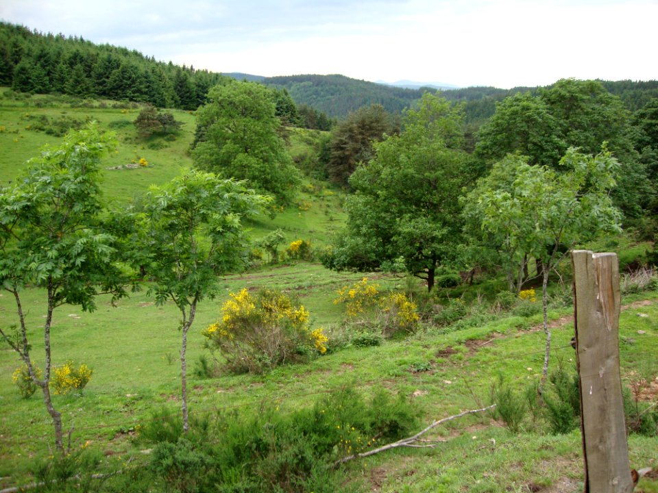 St.Pal-de-Mons (Haute-Loire, Fr) paysage