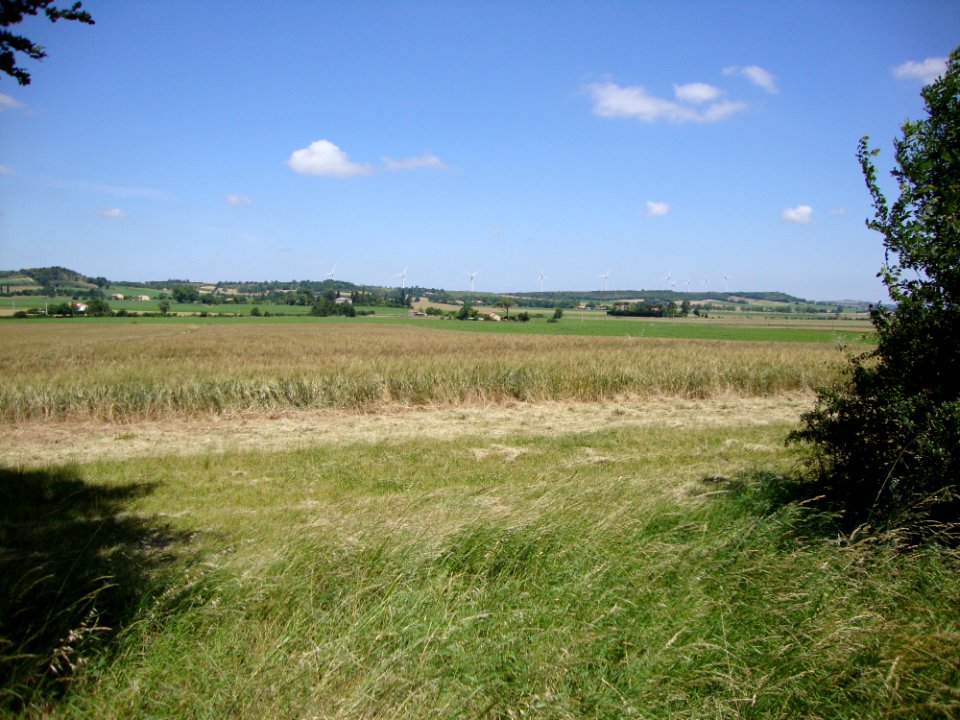 St.Félix-Lauragais (Haute-Garonne, Fr) les éoliennes vues de loin