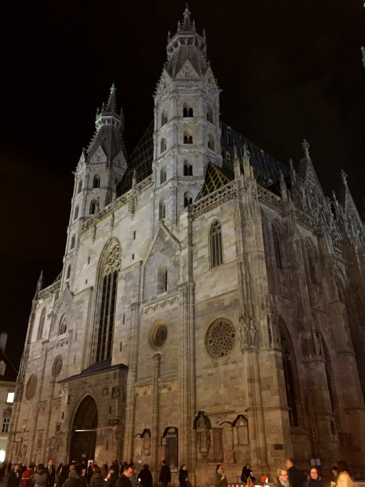 St Stephens Cathedral Vienna Austria (211677799)