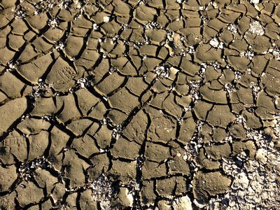 Dry soil dehydrated cracks photo