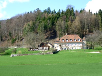 Staalenhof-1
