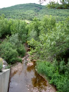 St.Fréchoux (Le Bosc, Hérault, Fr) le Rivernoux