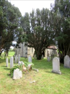 St Peter's Church, Church Road, Havenstreet (May 2016) (Churchyard) (2)