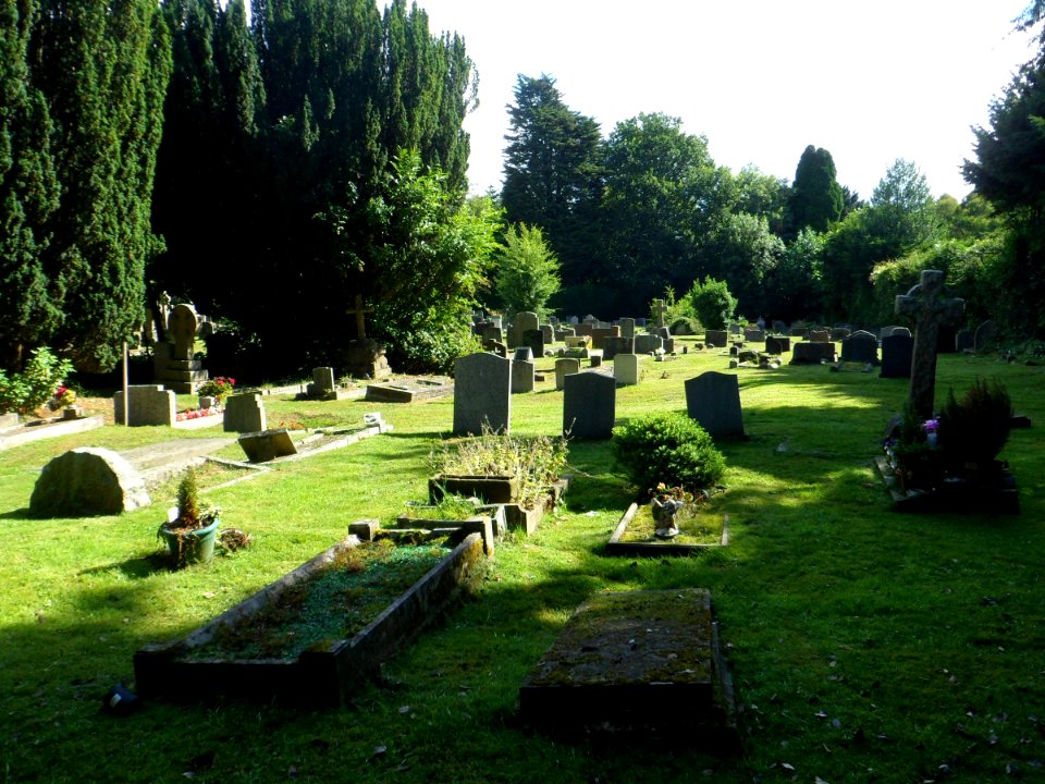 St Andrew's Church, Brighton Road, Kingswood (August 2013) (Churchyard) (1)