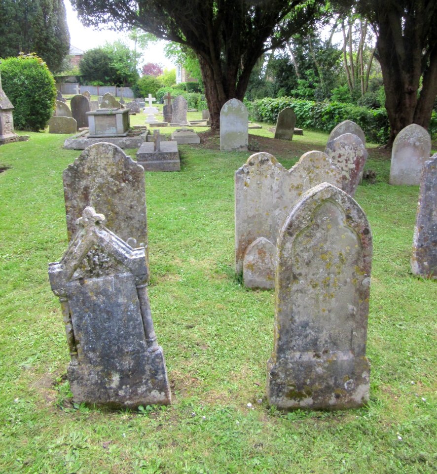 St Peter's Church, Church Road, Havenstreet (May 2016) (Churchyard) (3)