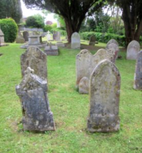 St Peter's Church, Church Road, Havenstreet (May 2016) (Churchyard) (3)