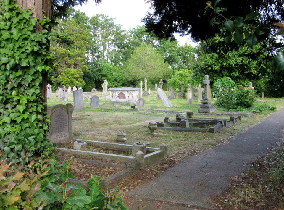 St Mary's Church, Church Street, Walton-on-Thames (June 2015) (Churchyard) (2)