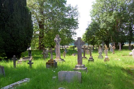 St Nicolas' Church, Stoneham Lane, North Stoneham (June 2019) (Churchyard) (2)