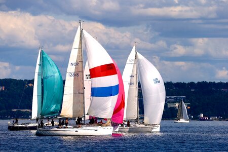 Summer sport sail photo
