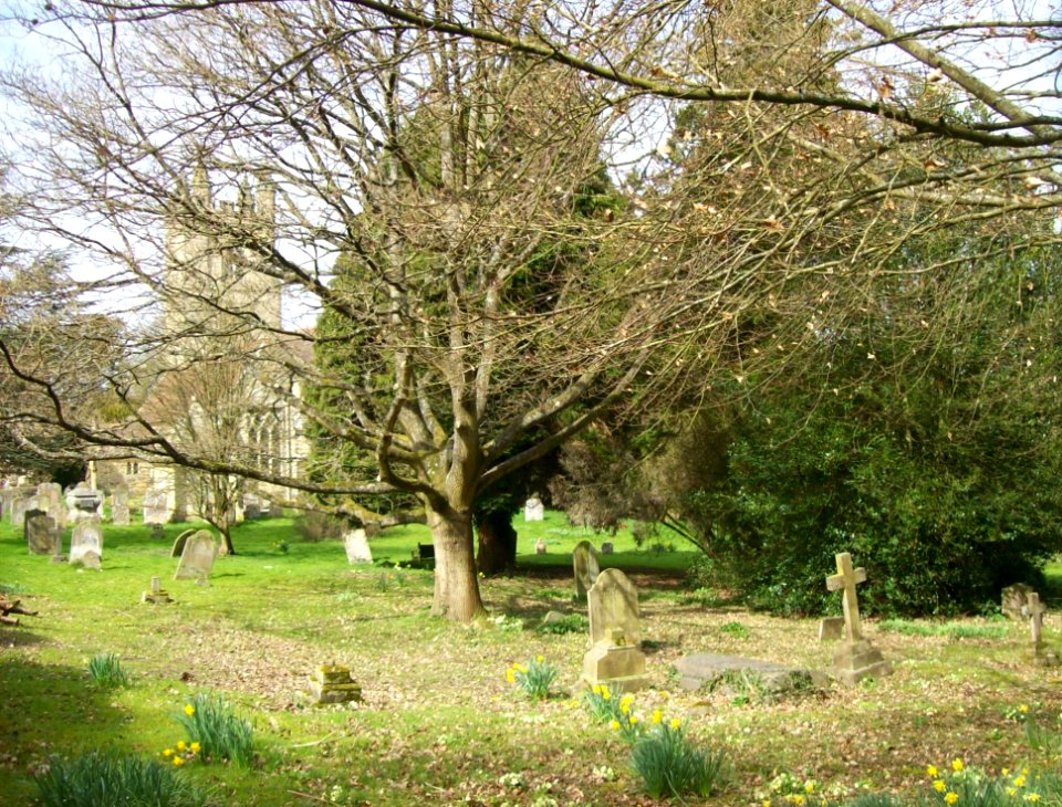 St Mary's churchyard, Chiddingstone