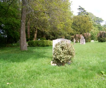 St Mary's Church, off Newton Lane, Newton Valence (NHLE Code 1179601) (May 2021) (Churchyard) (1)