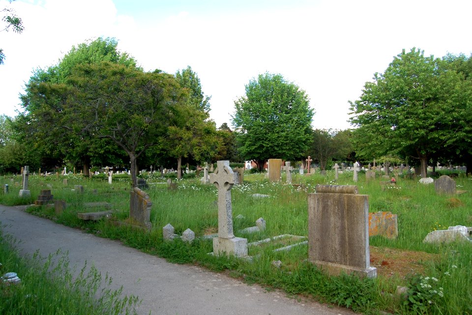 St Thomas a Becket's Church, Church Lane, Warblington (May 2019) (Churchyard) (2)