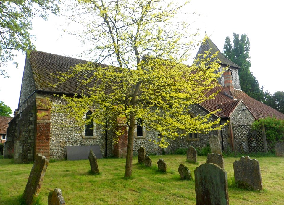 St Thomas of Canterbury's Church, The Street, East Clandon (May 2014) (6)