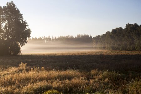 Morning autumn the silence