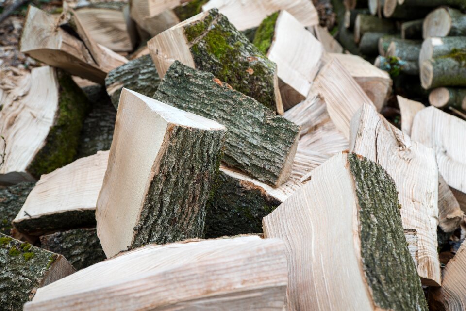 Log holzstapel growing stock photo