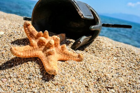 Warrior helmet sea brown stars