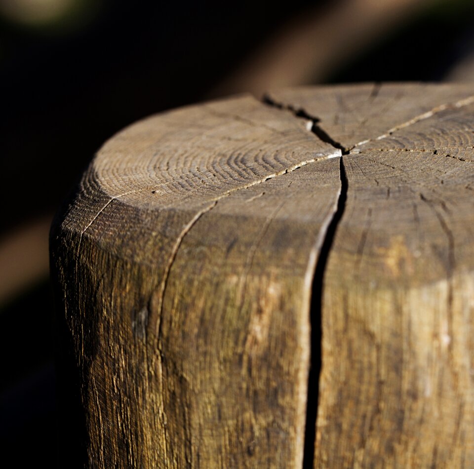 Wooden wood cracks in wood