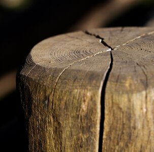 Wooden wood cracks in wood