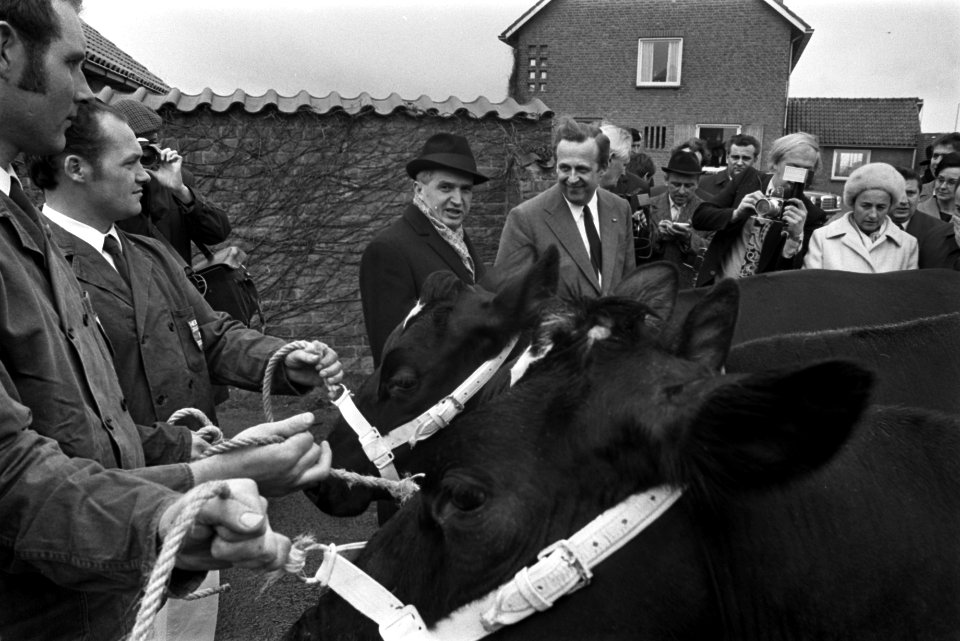 Staatsbezoek President Ceausescu van Roemenie, Ceausescu bezoekt feevokkerij De , Bestanddeelnr 926-3390