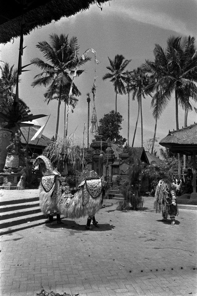 Staatsbezoek koningin Juliana en Prins Bernhard aan Indonesie, voor de tempel va, Bestanddeelnr 924-8981