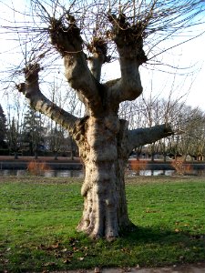 Staden Saarbruecken29