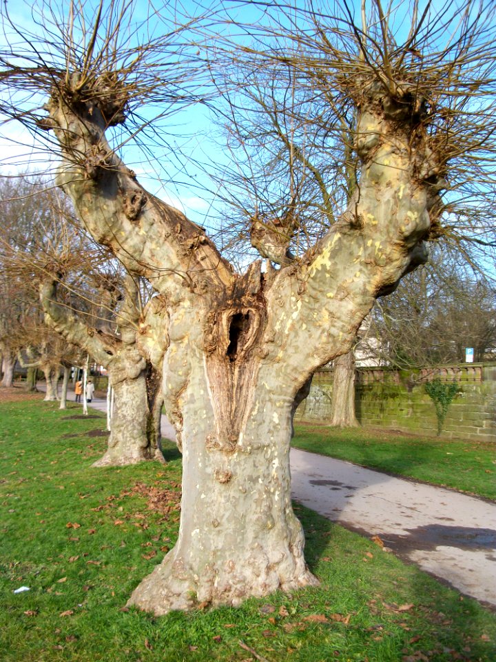 Staden Saarbruecken33