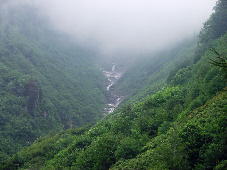 Turkey nature peace